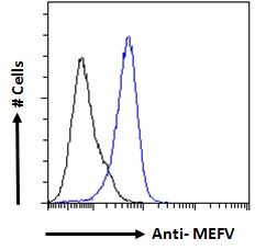 MEFV antibody