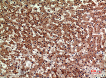 CD294 Polyclonal Antibody