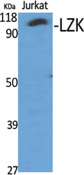 LZK Polyclonal Antibody