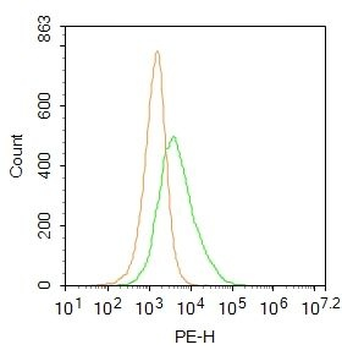 KCNE1L Polyclonal Antibody