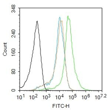 NHLRC2 Polyclonal Antibody