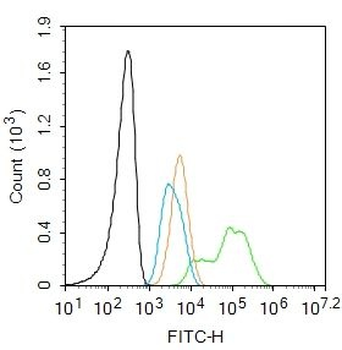UBE2V1 Polyclonal Antibody