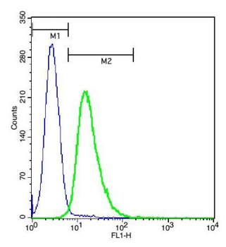 CLEC5A Polyclonal Antibody