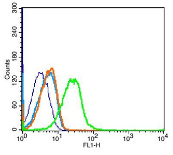 Uromucoid Polyclonal Antibody