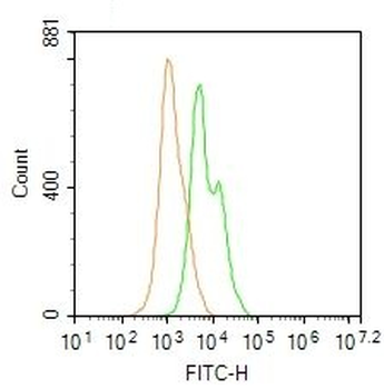 FMNL3 Polyclonal Antibody