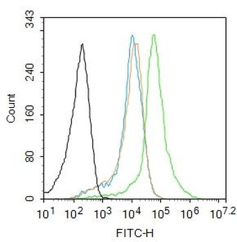 IFT20 Polyclonal Antibody