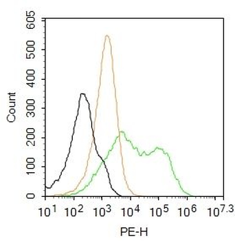 rSec6 Polyclonal Antibody