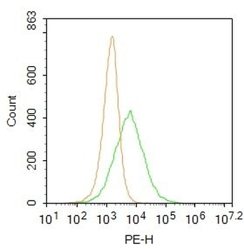 ABCA7 Polyclonal Antibody