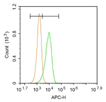 CASPR Polyclonal Antibody