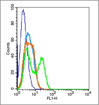 PCDH8 Polyclonal Antibody