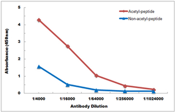 Anti-HMGB1 (AcK12) Antibody
