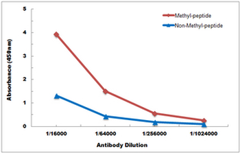 Anti-Histone H3 (MonoMethyl-K9) Antibody