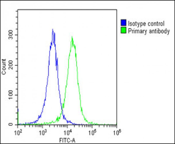 SH2B3 Antibody (N-Term)