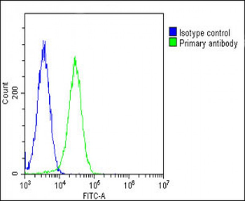 RPS2 Antibody (C-Term)