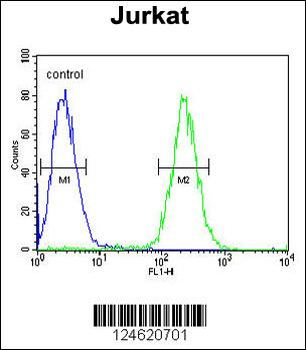 GNAT1 Antibody (C-term)