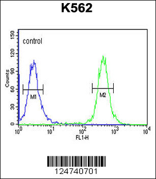 TREF1 Antibody (C-term)