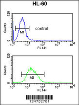 RNH2C Antibody (Center)