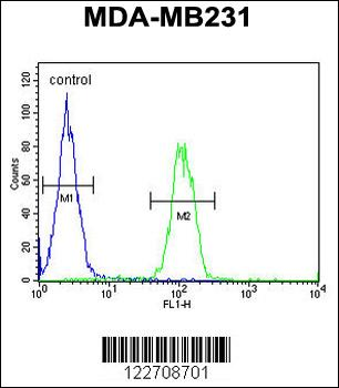 EGLN2 Antibody (Center)