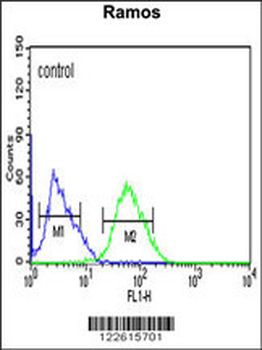 TBATA Antibody (C-term)