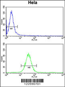 MOSC2 Antibody (C-term)