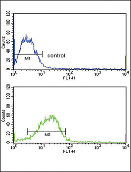 SMAD4 Antibody (C-term)