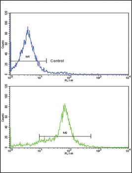 GDF6 Antibody (C-term)