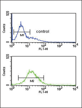 GZMM Antibody (Center)