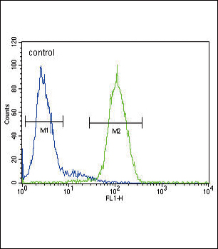 GLA Antibody (N-term)