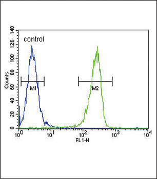 KIR2DS2 Antibody (Center)