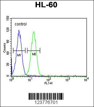 EMX2 Antibody (Center)