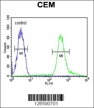 TSH2 Antibody (N-term)