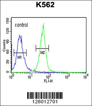 KRTAP1-1 Antibody (Center)