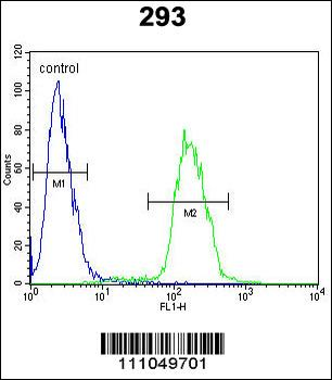 MYC Antibody (S62)