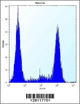 ZCRB1 Antibody (C-term)