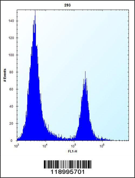 CBR3 Antibody (C-term)
