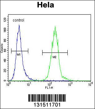 LDLRAD2 Antibody (Center)