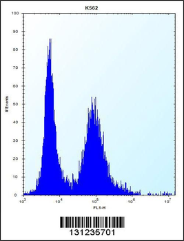 MEIG1 Antibody (Center)