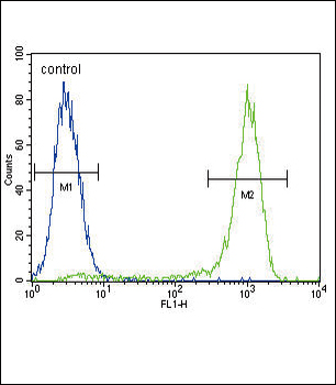 AKT1 Antibody (C-term T450)