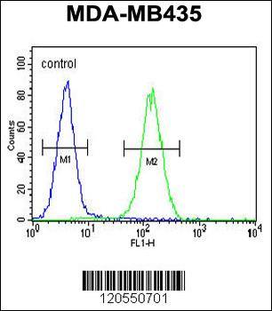 SMYD4 Antibody (C-term)