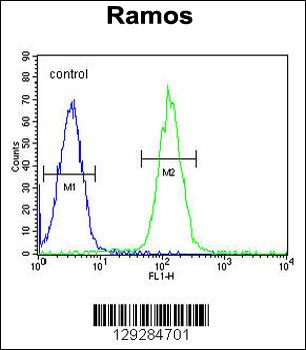 MGC24975 Antibody (C-term)