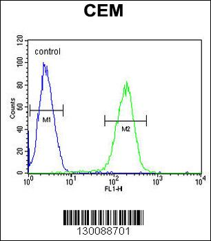 SFR1 Antibody (N-term)