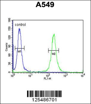 TM168 Antibody (C-term)