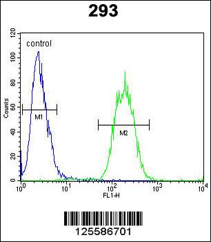 SACA1 Antibody (N-term)