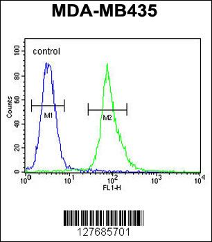 AKT1 (Thr308) Antibody