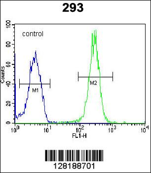 LRRC57 Antibody (C-term)