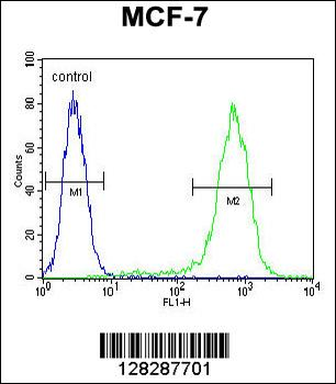 LYSMD4 Antibody (N-term)