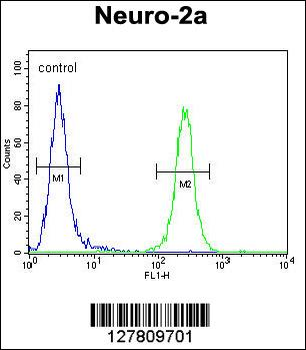 CCDC123 Antibody (C-term)