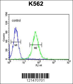 MINPP1 Antibody (N-term)