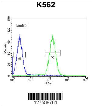 LCE2B Antibody (C-term)