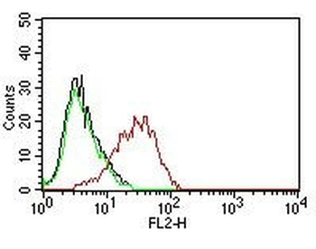 Ep-CAM / CD326 (Epithelial Marker) Antibody - With BSA and Azide